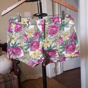 3/$20 H&M cotton shorts
